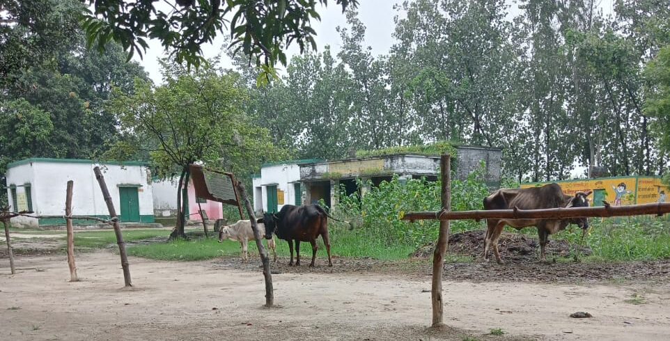 विद्यालय की बाउंड्री बनवाने की फिर उठी मांग