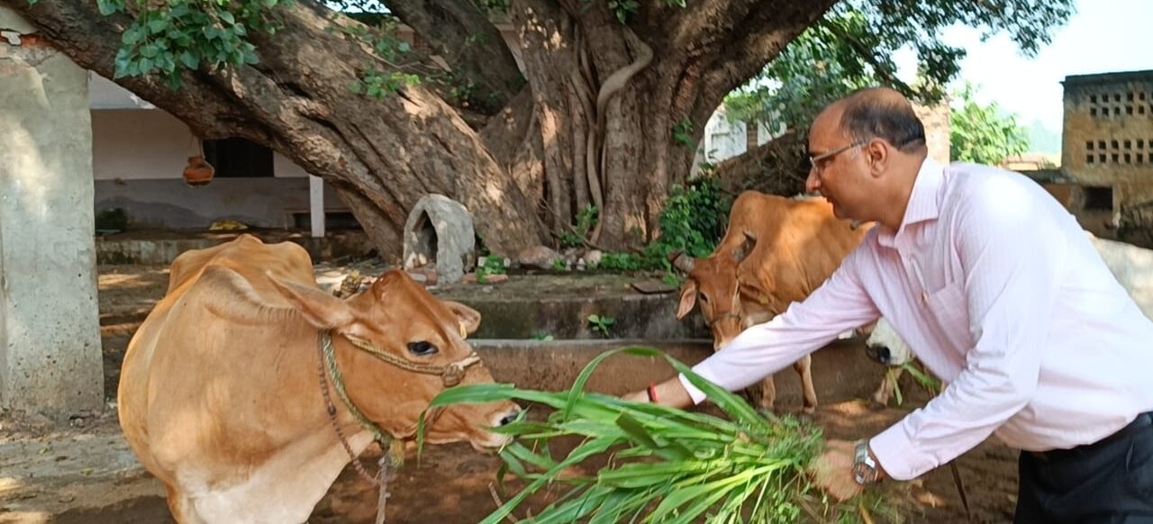 महाराजा अग्रसेन जयंती समारोह के तीसरे दिन की गई गौ सेवा