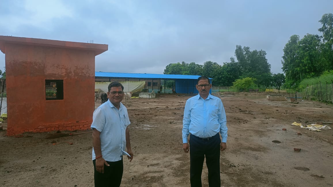 गौशालाओं का बराबर निरीक्षण करते रहे संबंधित अधिकारी-जिलाधिकारी