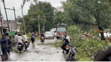 Photo of बहराइच में तेज आंधी और बारिश का कहर: सैकड़ों पेड़ उखड़े, बिजली व्यवस्था ध्वस्त, कई मार्ग पूरी तरह बाधित