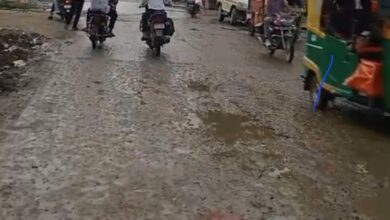 Photo of ​नानपारा-मिहिपुरवा मार्ग का बुरा हाल: हादसों को दावत दे रहे गहरे गड्ढे, ठेकेदार और व्यवस्था पर उठे सवाल